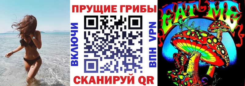 Псилоцибиновые грибы GOLDEN TEACHER  Купить  Сочи 